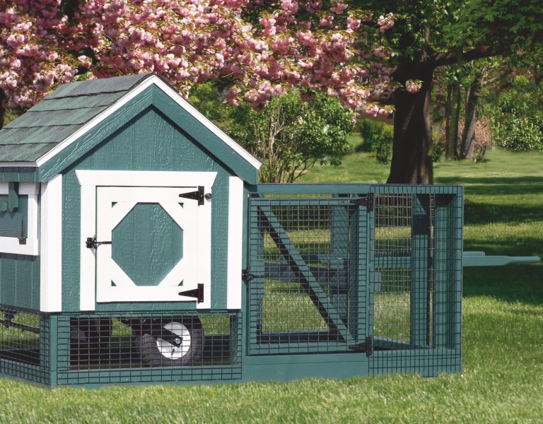 Backyard Chicken Coops Chicken Coops For Sale Online 2019 Models