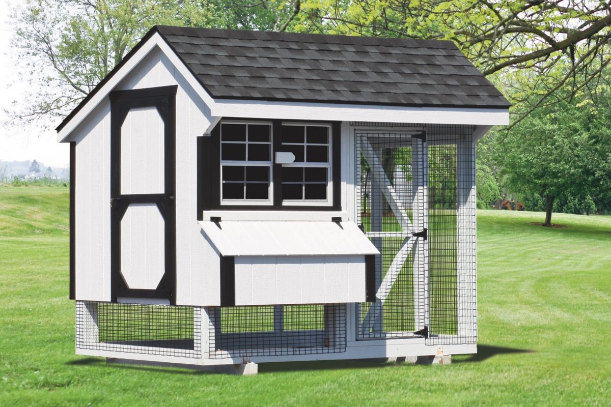 Backyard Chicken Coops Chicken Coops for Sale Online [2019 Models]