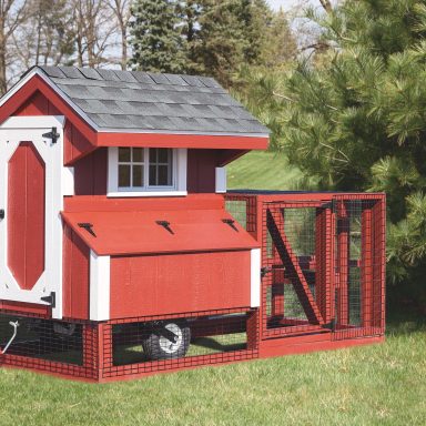 How much does it cost to build a chicken coop Rats may already be living in your house this winter