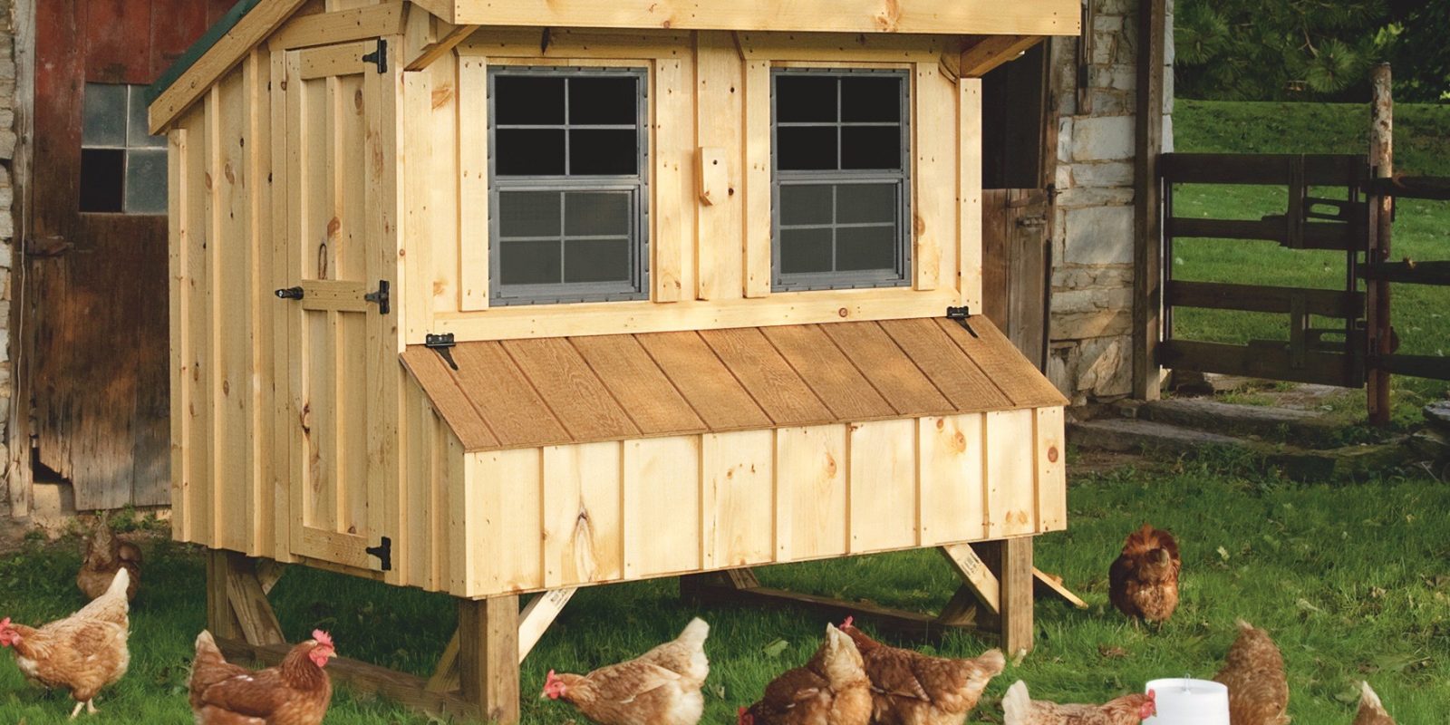 8020 14 4x5 Amish Barn Chicken In Stock For The New House