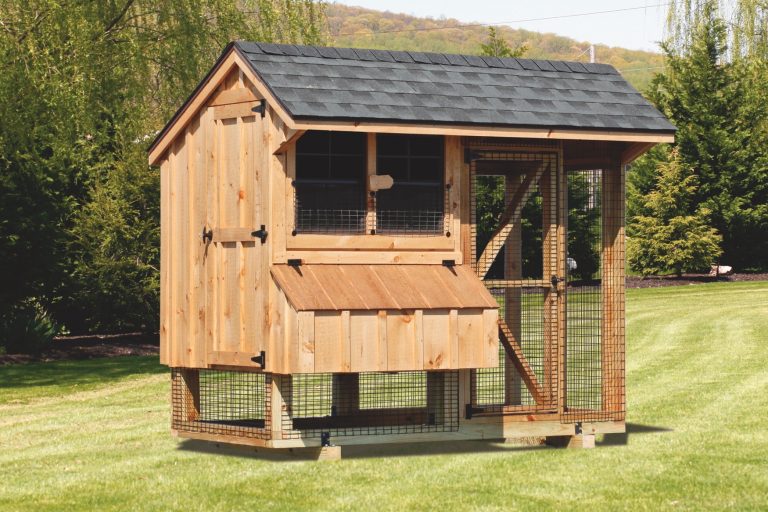 Chicken Coop And Run Get A Secure Pen For Your Chickens   Chicken Coop And Run 4x8 Combination 768x512 C 