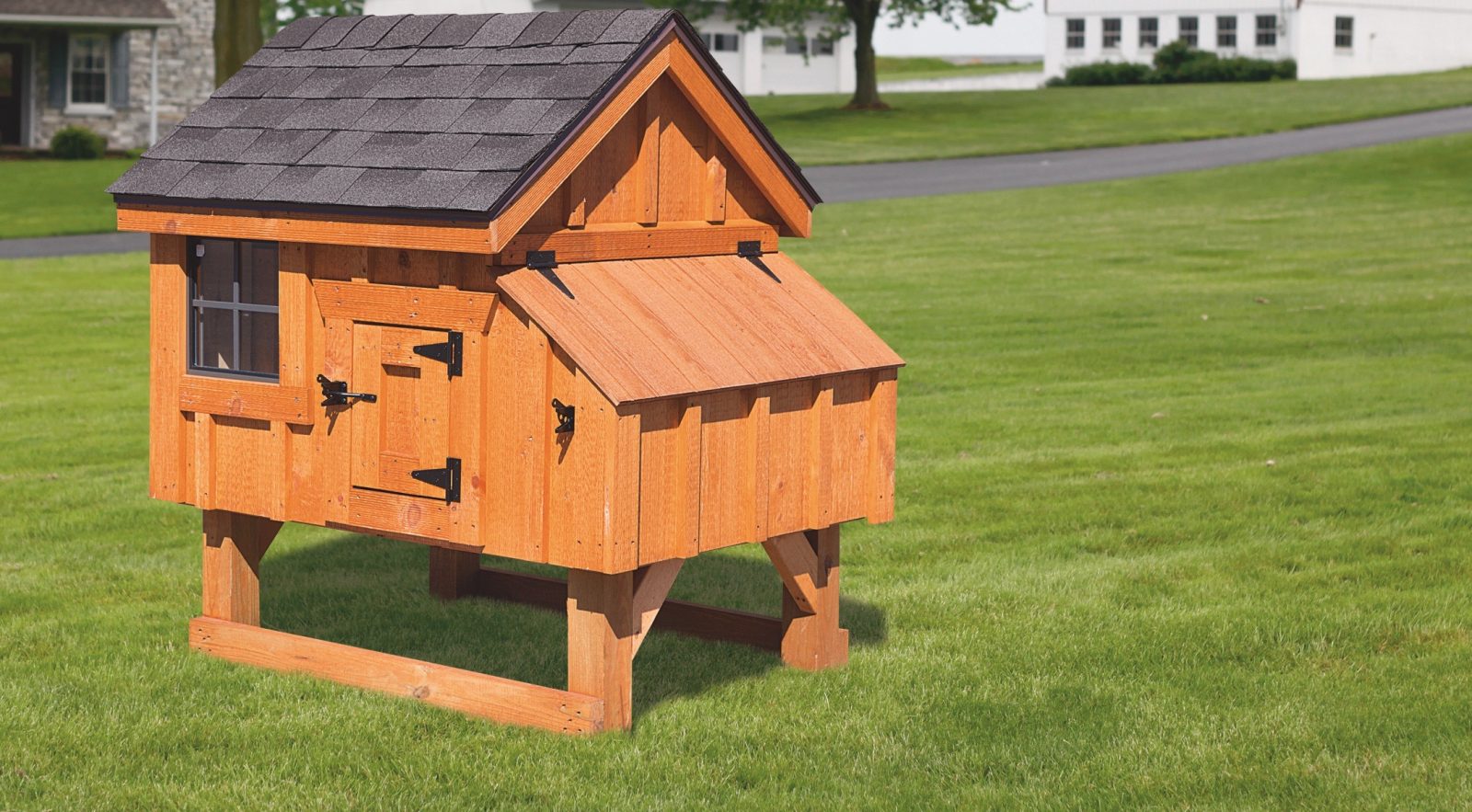 A Frame Chicken Coops Sheds For Up To 100 Chickens