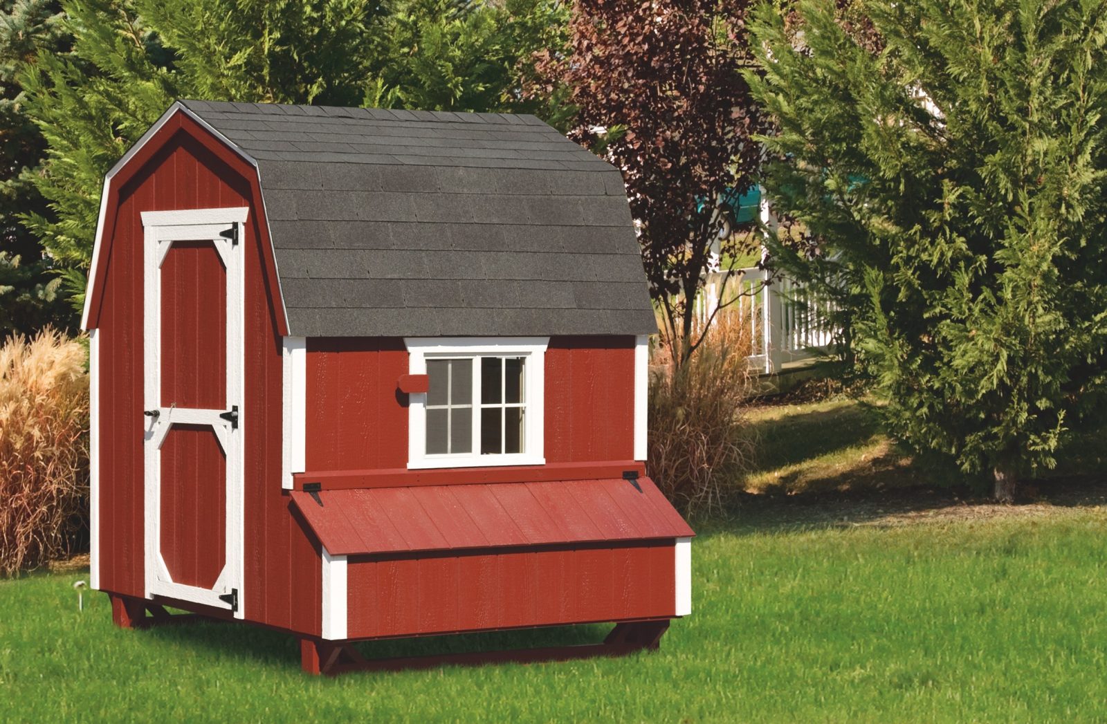 Barn Style Chicken Coops Buy A Cute Coop For Your Chickens